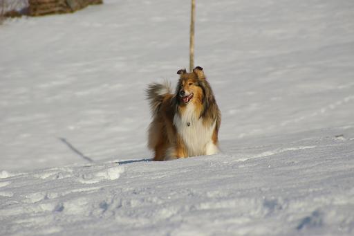 Fotos f. Homepage Galerie 038